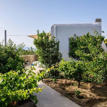 Villa Live & Dream Mykonos Town Exterior foto