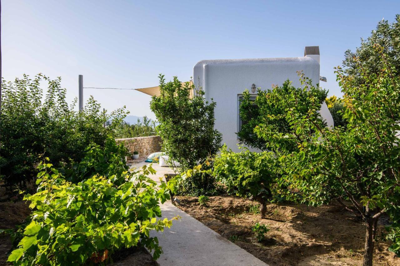 Villa Live & Dream Mykonos Town Exterior foto